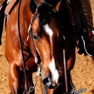 Meet your Posher, Marilyn